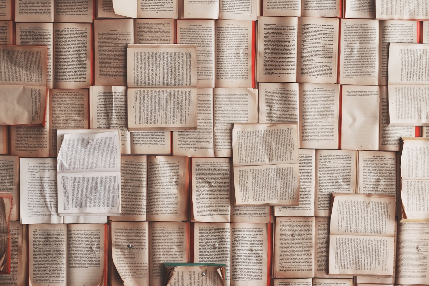 Aragon 8 Press: Bridging Communities Through Literature